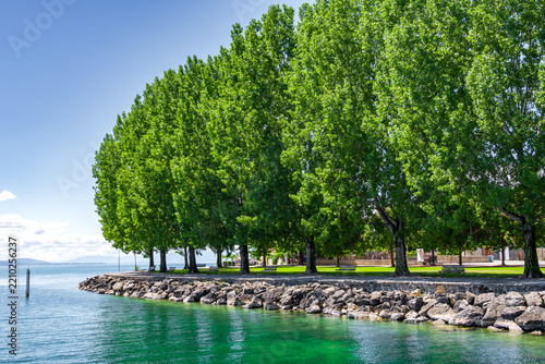 Scenic view of the tree-lined promenade along Lake Geneva in Montreux, Switzerland