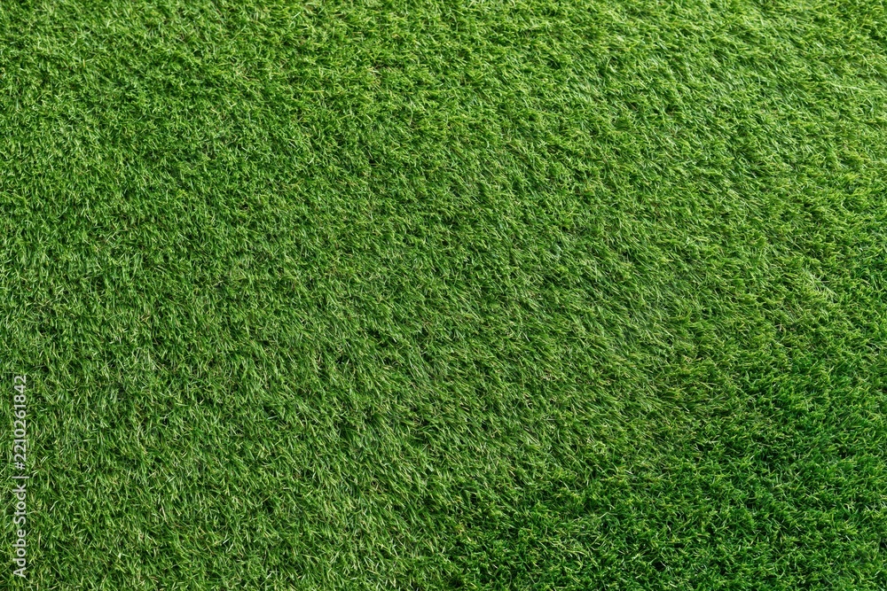 Fototapeta premium The Grass Field: Lush Green Lawn Texture Captured in Aerial Topview