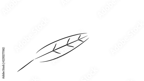 Botanical Leaf Line Drawing