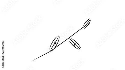 Botanical Sprig Line Art