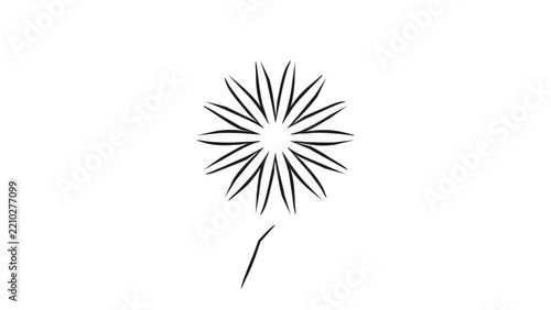 Daisy Flower Line Drawing