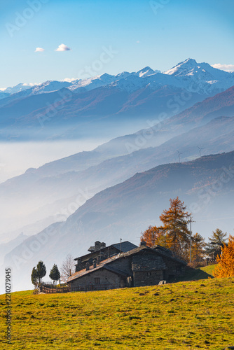 Vibrant golden larch forest and autumn foliage in Col de Joux pass, Aosta Valley, Italy