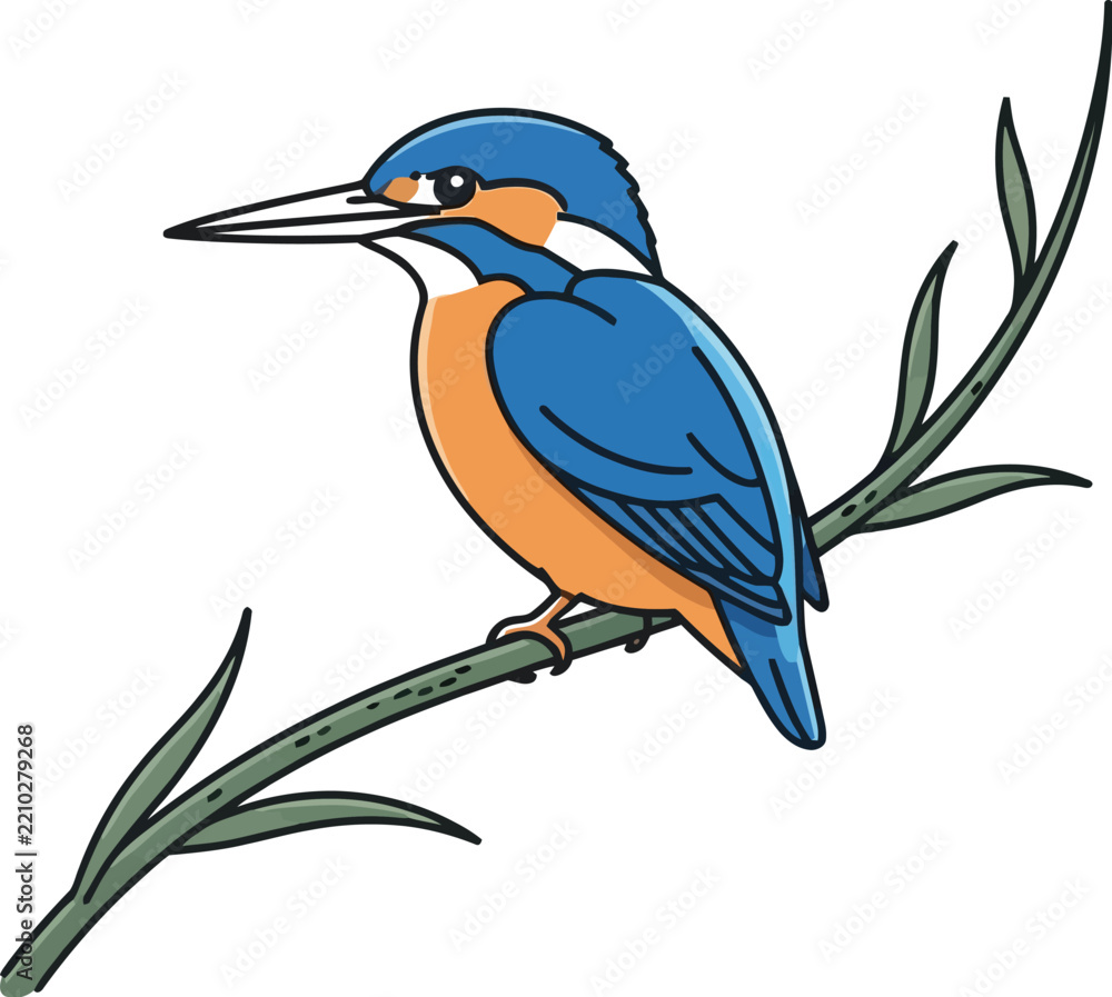 Fototapeta premium blue heron on branch