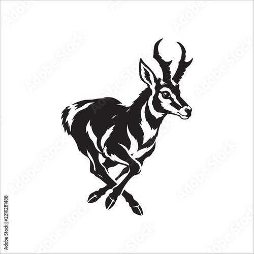 Pronghorn Antelope Line Art Vector Illustration