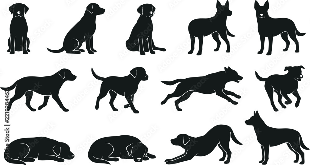 Obraz premium Dog Silhouettes in Various Poses with Clean Background Vector Illustration