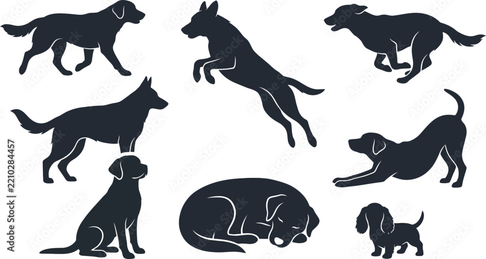 Fototapeta premium Dog silhouettes in various poses on a white background vector illustration