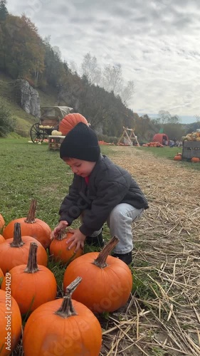 Boy choosing pumpkins in pumpkin patch
