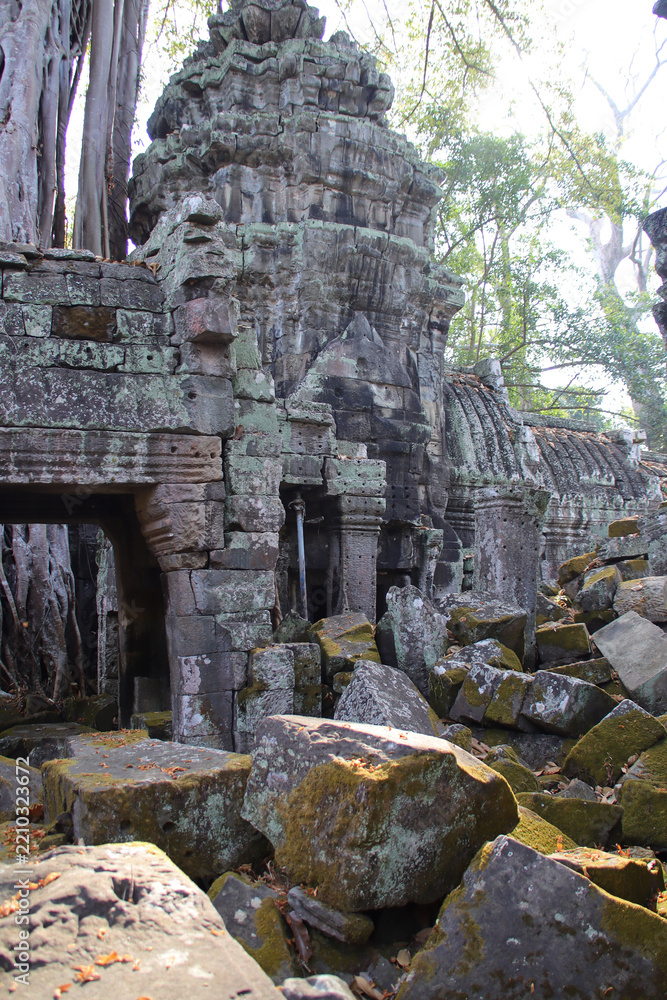 Fototapeta premium ruined khmer hindu and buddhist temple (ta prohm) in angkor in siem reap in cambodia 