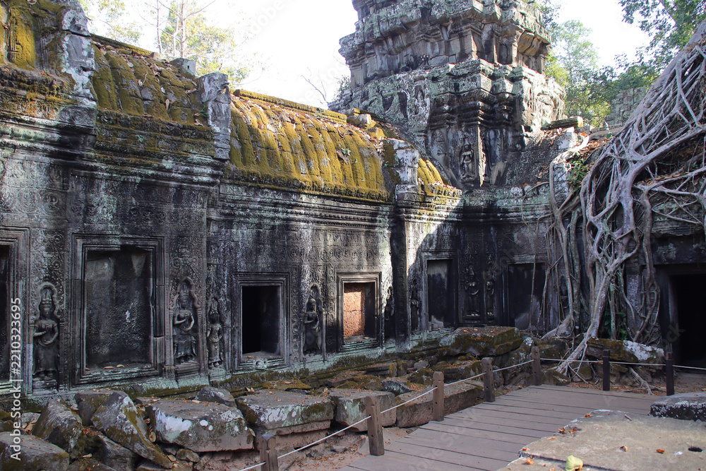Fototapeta premium ruined khmer hindu and buddhist temple (ta prohm) in angkor in siem reap in cambodia 