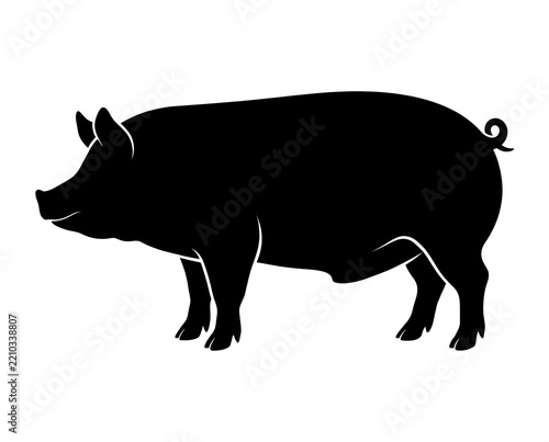 healthy domestic pig standing in natural side profile as a clean black silhouette vector for livestock farming agriculture veterinary meat production and education