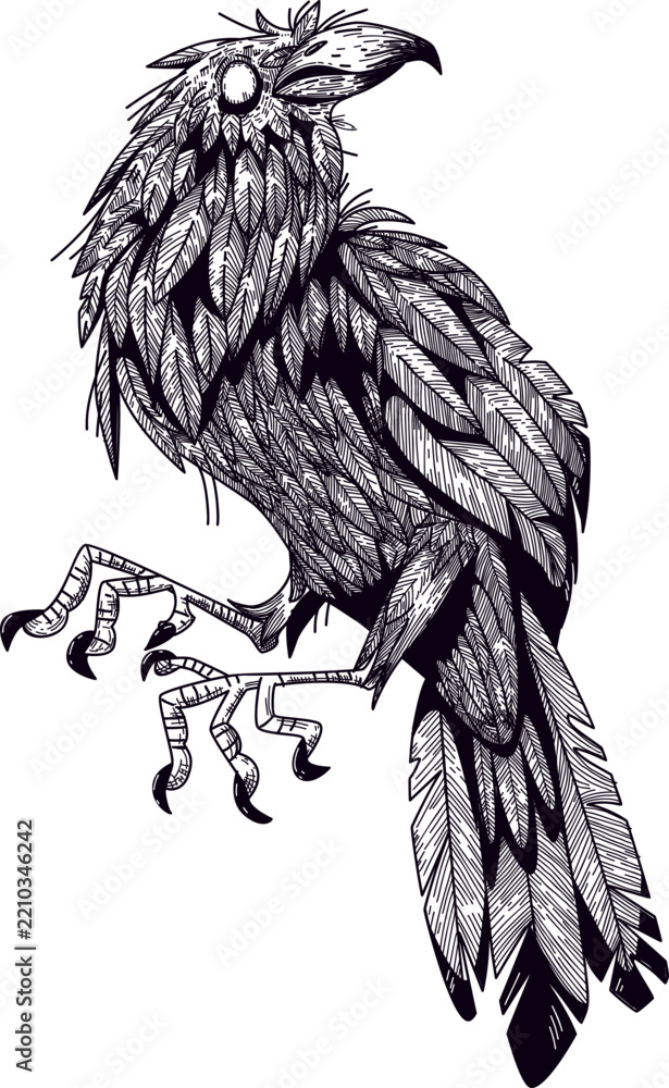Fototapeta premium Gothic Raven Sketch