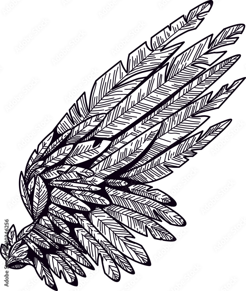 Fototapeta premium Crow Wing