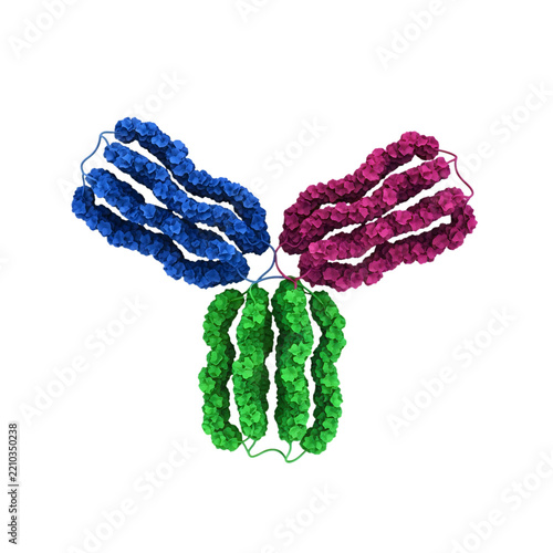 Colorful antibody molecule model isolated on a white background