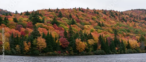 Panel kuchenny z motywem Panoramic view of colorful autumn forest on hillside beside river