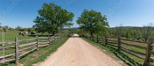 Panel kuchenny z motywem Dirt gravel farm road stretching into the distance flanked by wooden splitrail fences and green pasture with grazing cows under blue sky