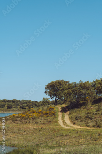 Scenic country road winding through the peaceful Alentejo landscape, Portugal