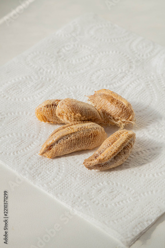 Fotografie Five praying mantis oothecae arranged together on a white paper napkin, displayi