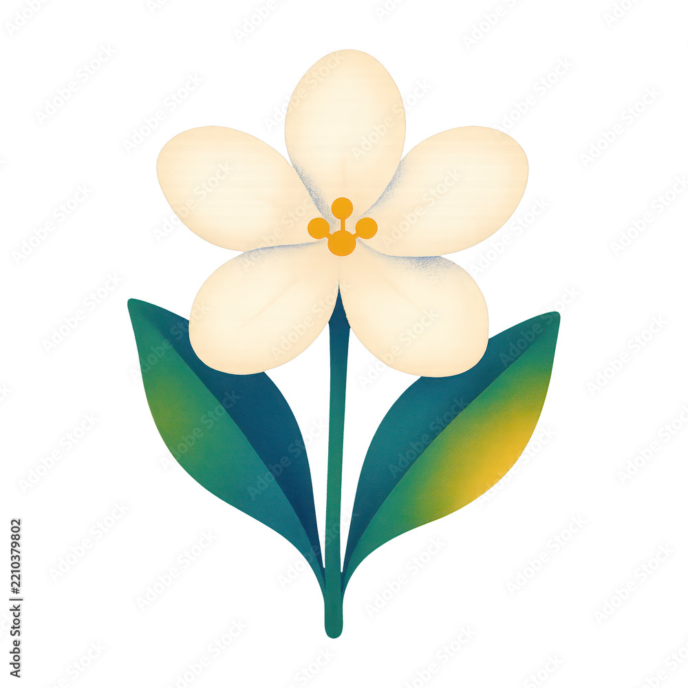Obraz premium PNG Minimalist floral illustration design.