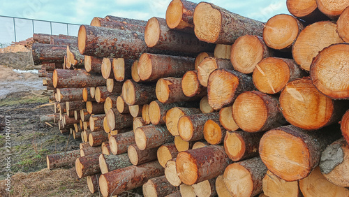 Stacks of harvested timber at a wood-processing plant.