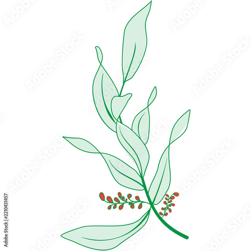Elegant green botanical leafy branch with small red flower buds illustration