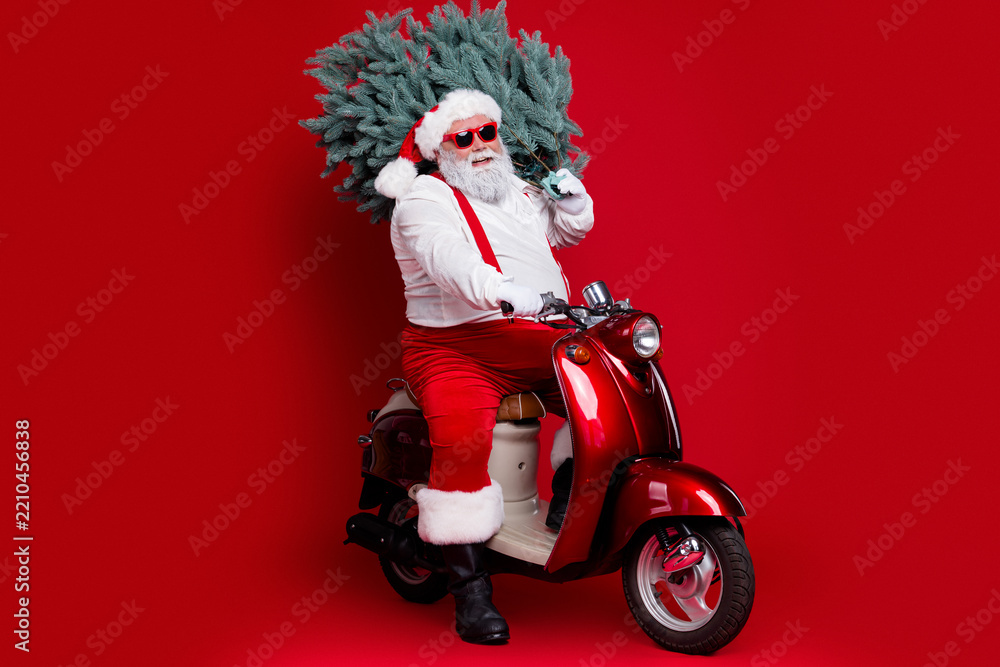Obraz premium Santa Claus carrying a Christmas tree on a red scooter with sunglasses and festive outfit for holiday delivery and seasonal fun