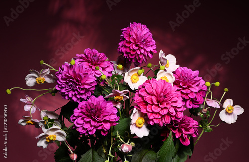 Bouquet of beautiful purple dahlia flowers