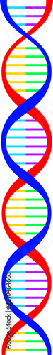 dna