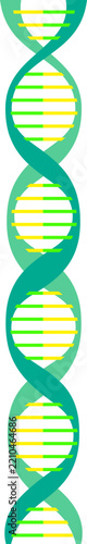 dna