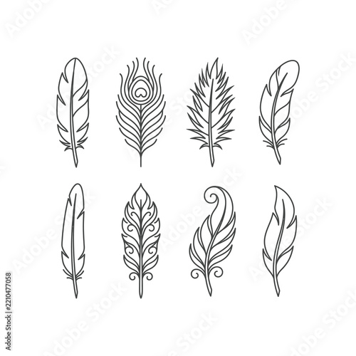 Set of eight hand drawn bird feather icons