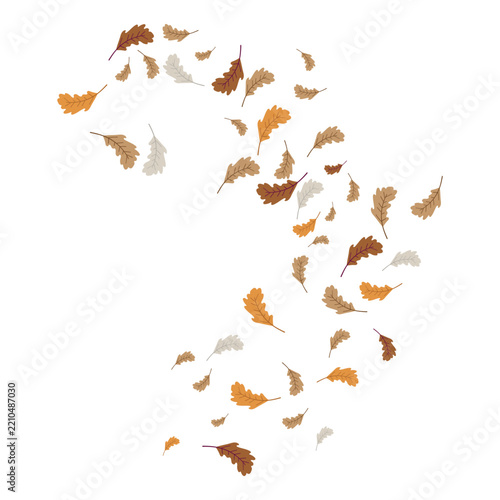 autumn Leaf background concept template vector