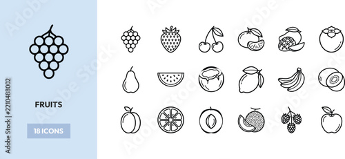 Fruits vector line icons showcasing healthy organic food choices