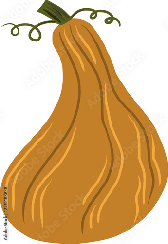 Golden Orange Autumn Gourd Illustration