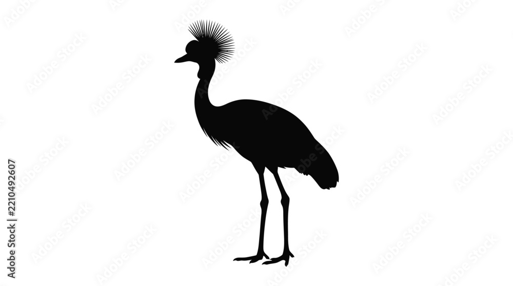 Obraz premium Grey crowned crane silhouette against a white background