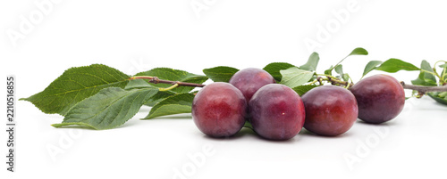 Fresh purple plums with green leaves branch.