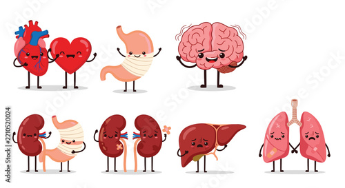 Collection of cute cartoon human internal organs with happy faces representing anatomy, health, and medical awareness.