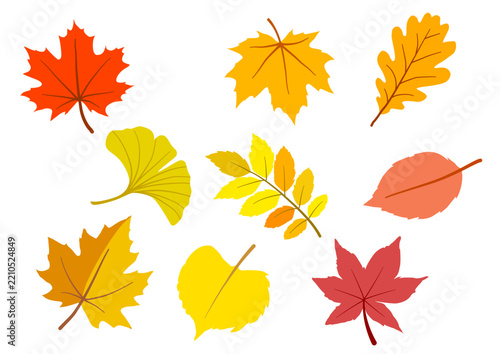 A simple flat vector illustration of an orange autumn maple leaf with a brown stem, isolated on a clean white background. Minimal seasonal botanical design representing fall foliage, autumn nature, se