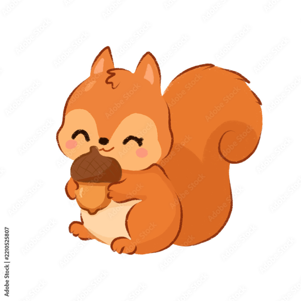 Fototapeta premium squirrel with acorn