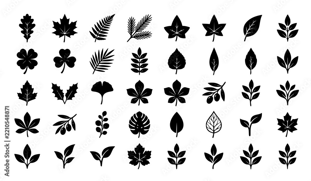 Obraz premium Set of black silhouette leaf icons for autumn seasonal design and