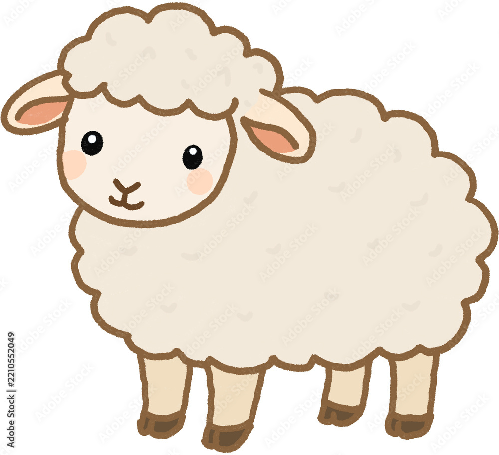 Obraz premium Sheep Illustration