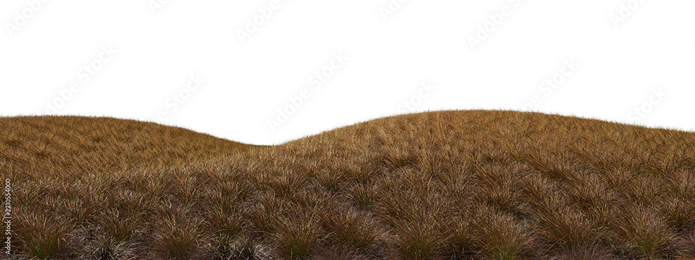 Obraz premium Savanna grass fields mound hills cut out transparent backgrounds 3d illustrations png