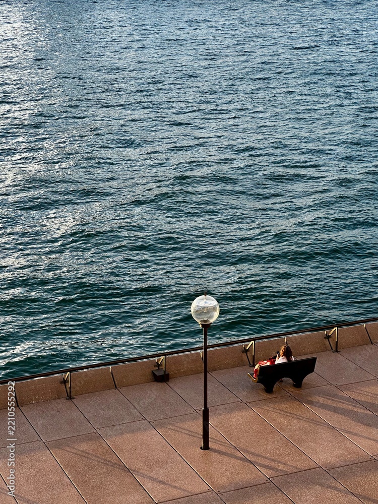 Fototapeta premium seagull on pier