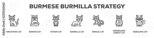 Obraz na plátně Burmese Burmilla Strategy with icon of Singapura cat, Birman cat, Toyger cat, Bu