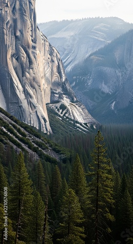 Towering grey granite cliffs rising vertically above a dense evergreen forest