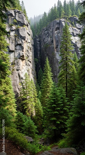 Towering grey granite cliffs rising vertically above a dense evergreen forest