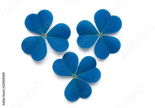 Four blue four-leaf clover illustrations