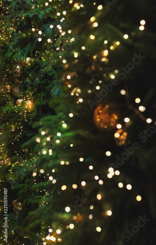 Decorated with golden ornaments evergreen glows warmly