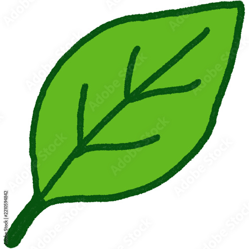Green Leaf Illustration