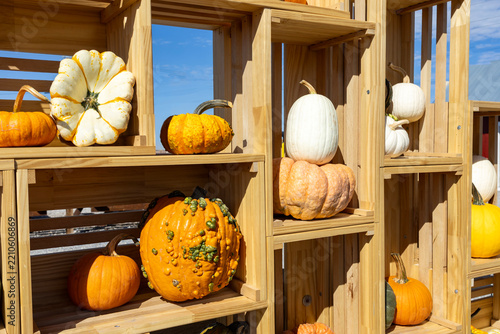 Bright pumpkins arranged together on a farm display, creating a colorful autumn harvest scene with a rustic countryside feel.