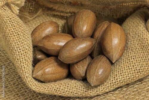 Pecan (Carya illinoinensis), fruits, nuts, with shell, unshelled, Germany