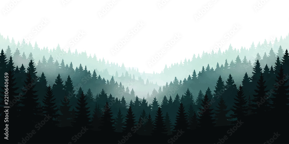 Fototapeta premium Layers of evergreen pine trees in a misty mountain forest landscape